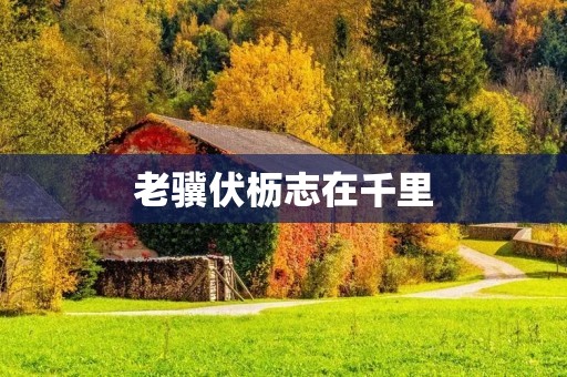 老骥伏枥志在千里:坚定追求目标的老者