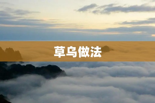 草乌做法：探索草乌的独特魅力与制作方法