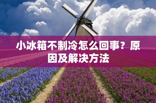 小冰箱不制冷怎么回事?原因及解决方法 小冰箱不制冷怎么回事?原因及解决方法
