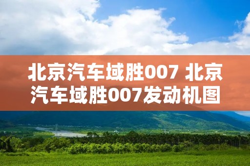 北京汽车域胜007 北京汽车域胜007发动机图片