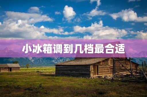 小冰箱调到几档最合适：为了保持食物的新鲜度和延长保存时间，小冰箱的调节档位是非常重要的。本文将详细讨论小冰箱调到几档最合适的问题。