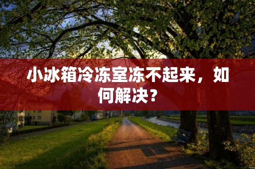 小冰箱冷冻室冻不起来，如何解决？