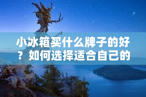小冰箱买什么牌子的好?如何选择适合自己的小冰箱? 小冰箱买什么牌子的好?如何选择适合自己的小冰箱?