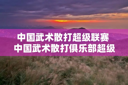 中国武术散打超级联赛 中国武术散打俱乐部超级联赛 中国武术散打超级联赛 中国武术散打俱乐部超级联赛