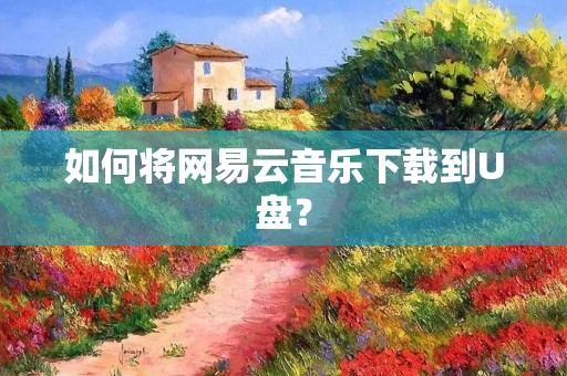 如何将网易云音乐下载到U盘?