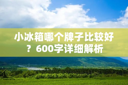 小冰箱哪个牌子比较好？600字详细解析
