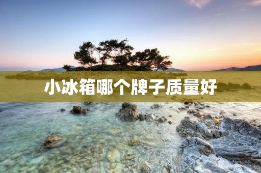 小冰箱哪个牌子质量好