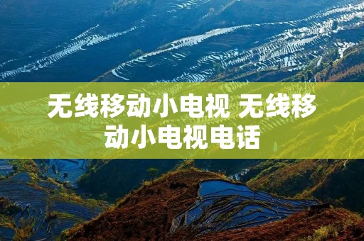 无线移动小电视 无线移动小电视** 无线移动小电视 无线移动小电视**