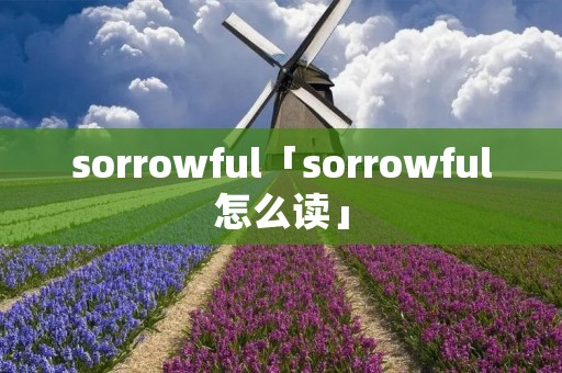sorrowful「sorrowful怎么读」 sorrowful「sorrowful怎么读」