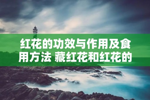 红花的功效与作用及食用方法 藏红花和红花的功效与作用及食用方法 红花的功效与作用及食用方法 藏红花和红花的功效与作用及食用方法
