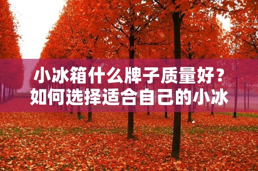 小冰箱什么牌子质量好?如何选择适合自己的小冰箱? 小冰箱什么牌子质量好?如何选择适合自己的小冰箱?