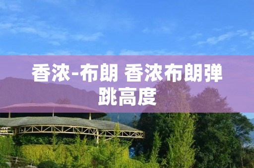 香浓-布朗 香浓布朗弹跳高度