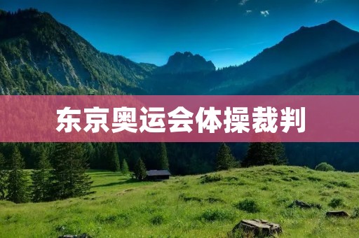 东京奥运会体操裁判：公正与争议交织的挑战