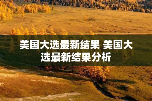 美国大选最新结果 美国大选最新结果分析