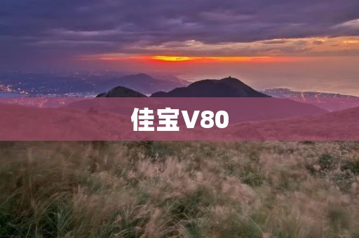 佳宝V80:引领商用车辆的新时代 佳宝V80:引领商用车辆的新时代