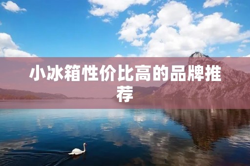 小冰箱性价比高的品牌推荐