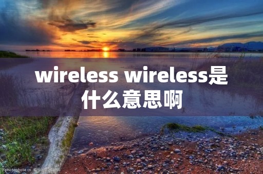 wireless wireless是什么意思啊