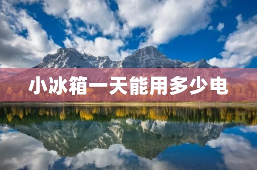 小冰箱一天能用多少电 小冰箱一天能用多少电