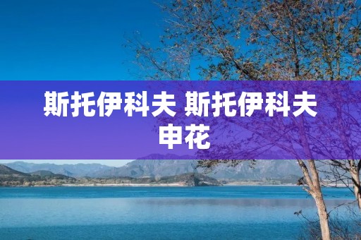 斯托伊科夫 斯托伊科夫 申花