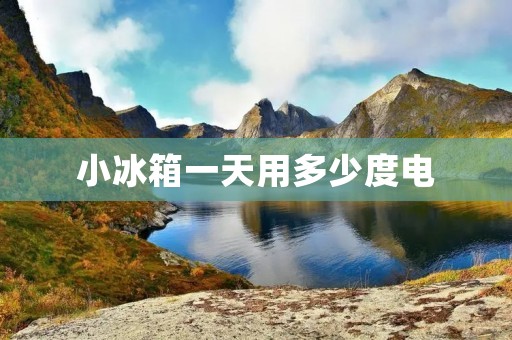 小冰箱一天用多少度电：详细解析