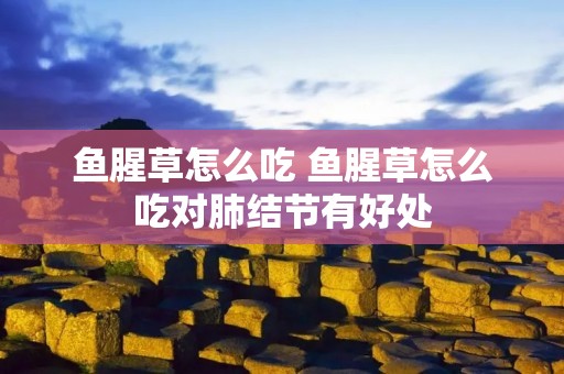 鱼腥草怎么吃 鱼腥草怎么吃对肺结节有好处