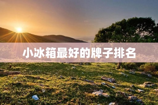 小冰箱最好的牌子排名 小冰箱最好的牌子排名