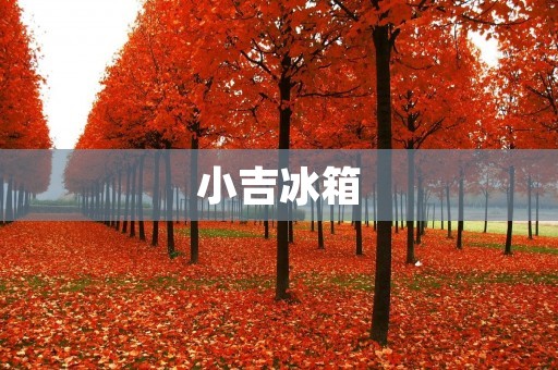 小吉冰箱:来自中国的高品质冷藏电器 小吉冰箱:来自中国的高品质冷藏电器