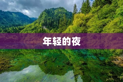 年轻的夜:探寻青春的无尽可能