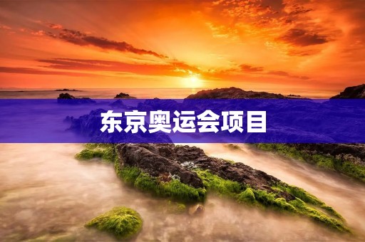 东京奥运会项目：探索体育世界的新边界