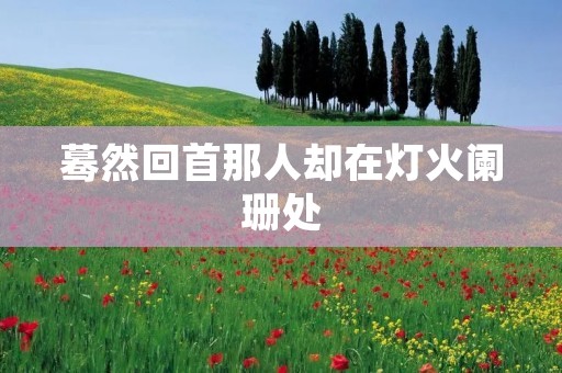 蓦然回首那人却在灯火阑珊处