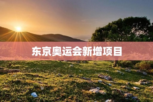 东京奥运会新增项目：探索体育的未来