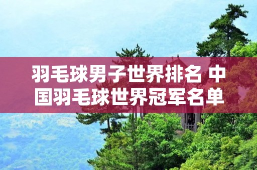 羽毛球男子世界排名 中国羽毛球世界冠军名单