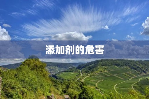添加剂的危害:探索食品添加剂的潜在风险
