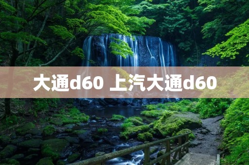 大通d60 上汽大通d60