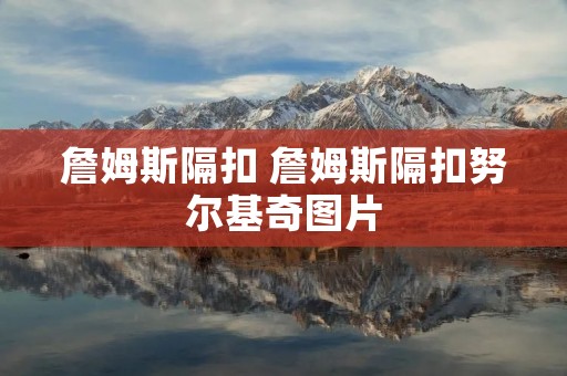 詹姆斯隔扣 詹姆斯隔扣努尔基奇图片 詹姆斯隔扣 詹姆斯隔扣努尔基奇图片