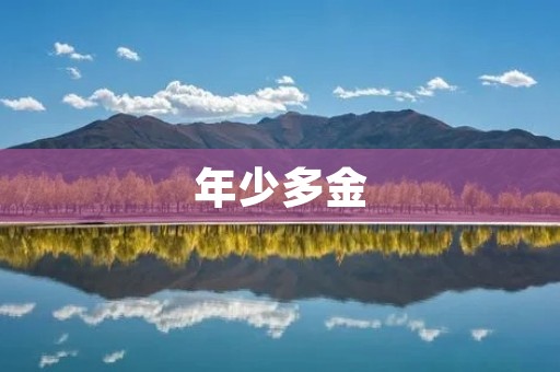 年少多金:追逐财富的年轻一代