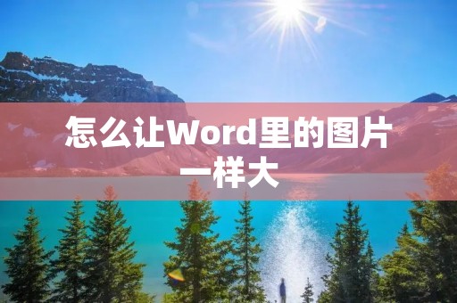 怎么让Word里的图片一样大