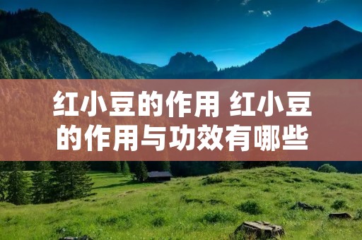 红小豆的作用 红小豆的作用与功效有哪些