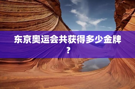 东京奥运会共获得多少金牌？