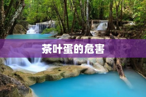 茶叶蛋的危害:了解其中的风险与注意事项