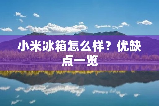 小米冰箱怎么样？优缺点一览
