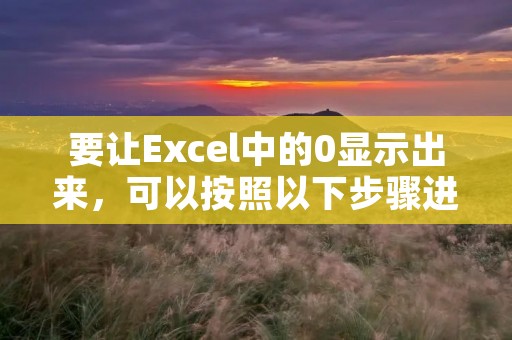 要让Excel中的0显示出来,可以按照以下步骤进行操作。