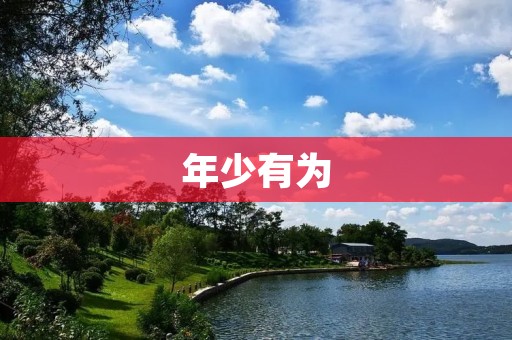 年少有为:追寻梦想的青春岁月