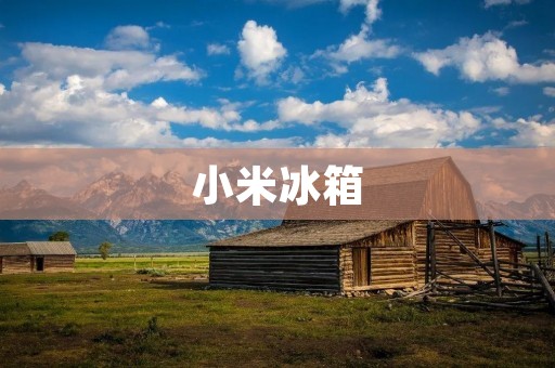 小米冰箱:高品质与创新的完美结合 小米冰箱:高品质与创新的完美结合
