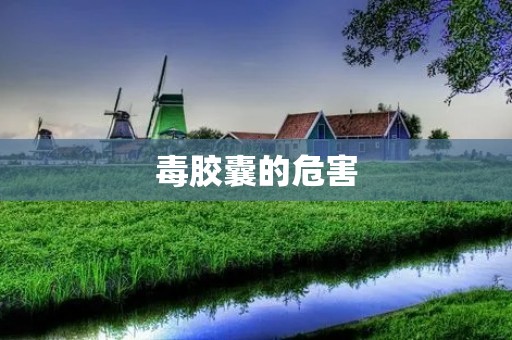 毒胶囊的危害:揭示隐藏的健康威胁