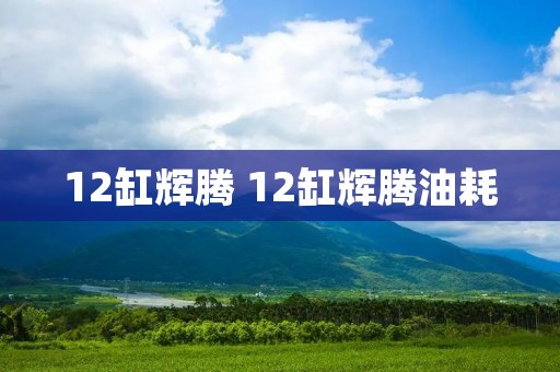 12缸辉腾 12缸辉腾油耗
