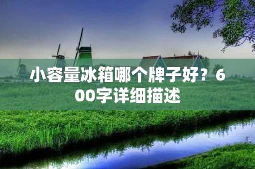 小容量冰箱哪个牌子好？600字详细描述：