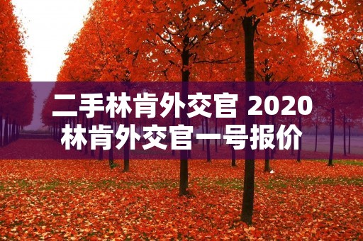 二手林肯外交官 2020林肯外交官一号报价 二手林肯外交官 2020林肯外交官一号报价