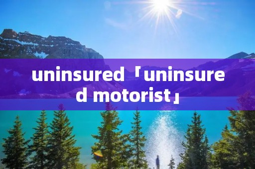 uninsured「uninsured motorist」