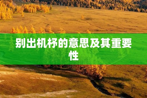 别出机杼的意思及其重要性
